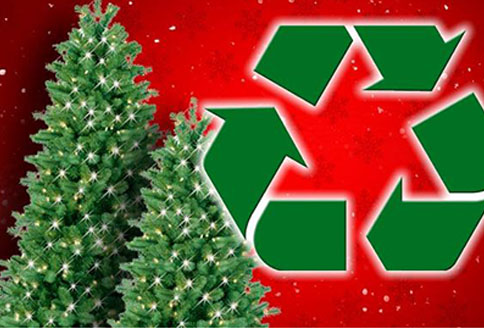 holiday tree recycling