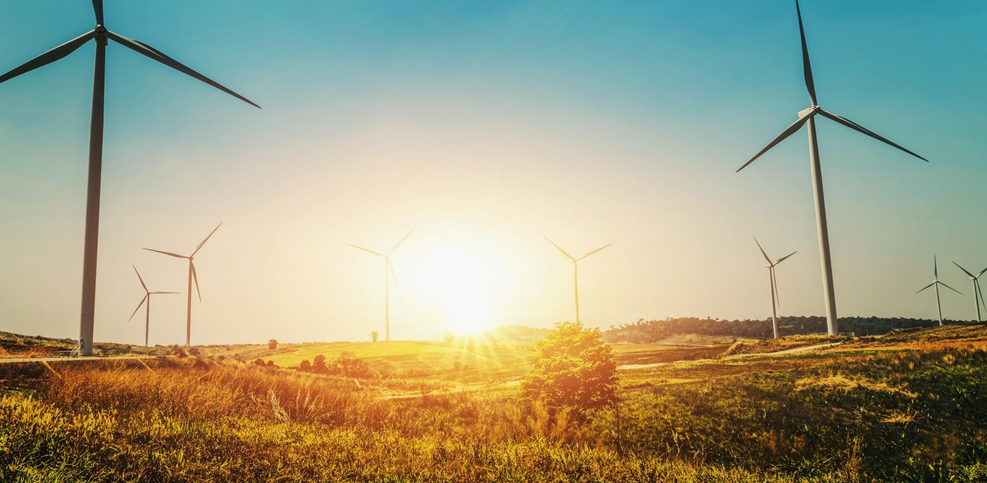 WindFarm2 crop