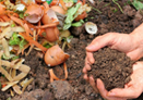 Composting-Thumbnail