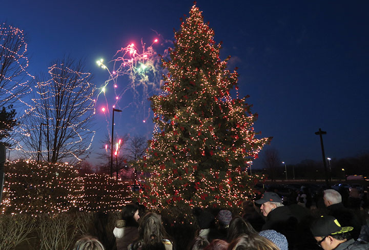 Friendship Tree Lighting